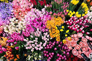 《时光3：永耀之境》Steam页面上线 发售日待定