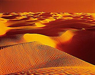 沙盒生活模拟游戏《金垦小镇Dinkum》特别好评！ 现已更新简体中文